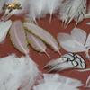 White Feathers for DIY Dream Catchers & Craft Decorations