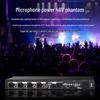 Weishu CA-420 Professional 4-Channel Digital Feedback Suppressor
