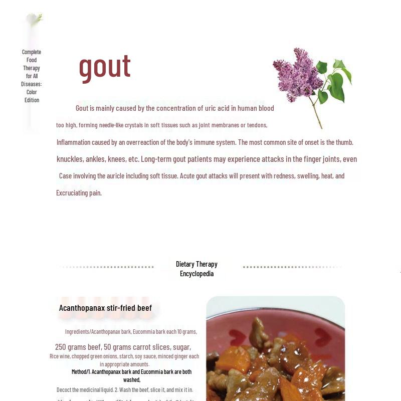 Illustrated Guide To Medicinal Diets: Traditional Chinese Recipes for Health and Wellness Across All Seasons