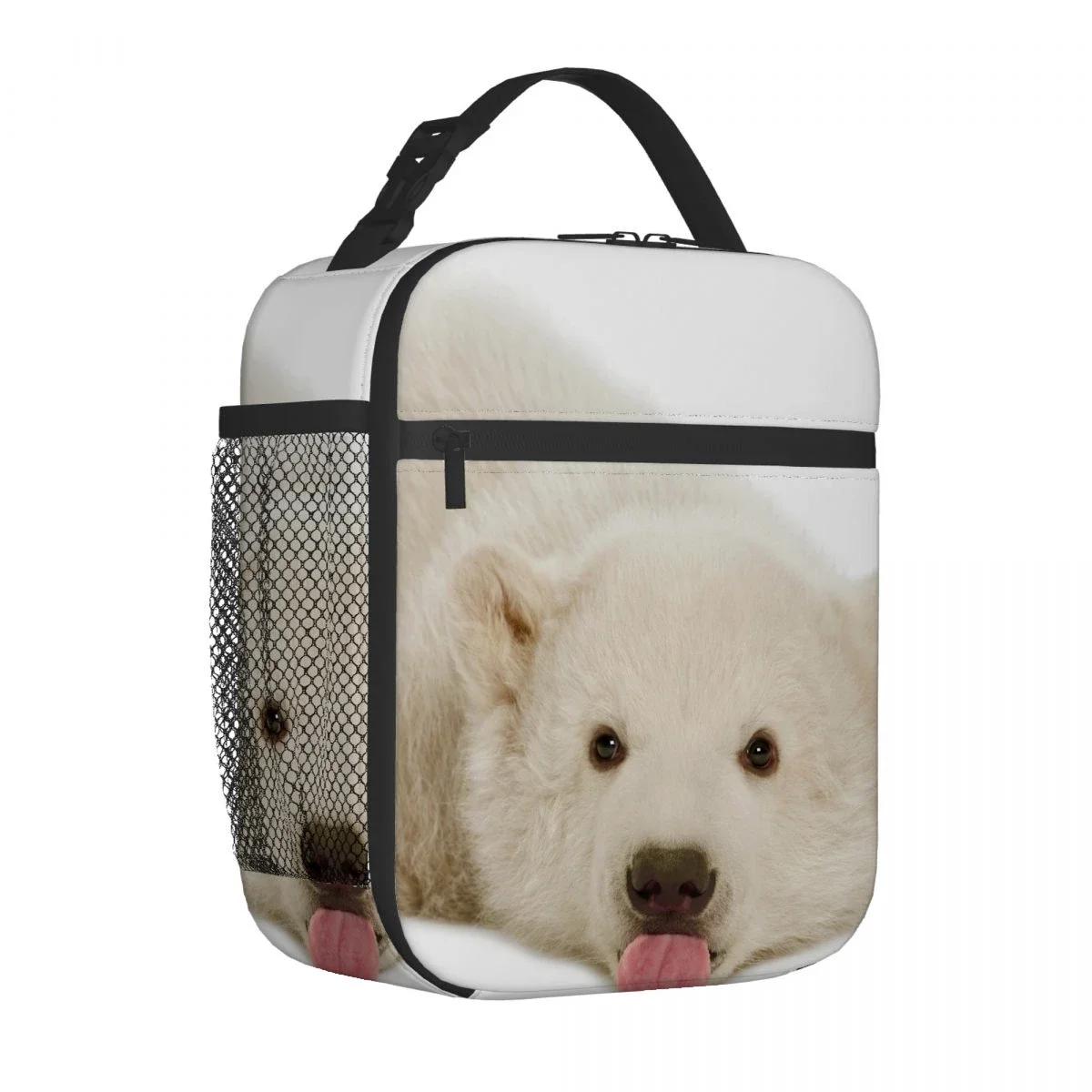 

Сумка для ланча в виде белого медведя, портативная, из алюминиевой фольги, утолщенная, изолированная, подарочная, водонепроницаемая, сумки для ланча 26x21x11CM серебряный