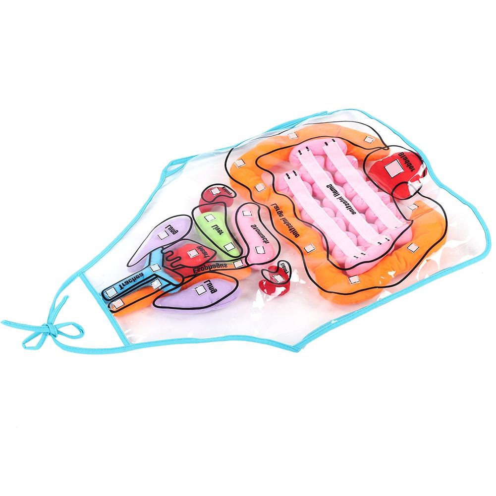 Kids Viscera Teaching Utensil Children Educational Development Organ Apron Toy