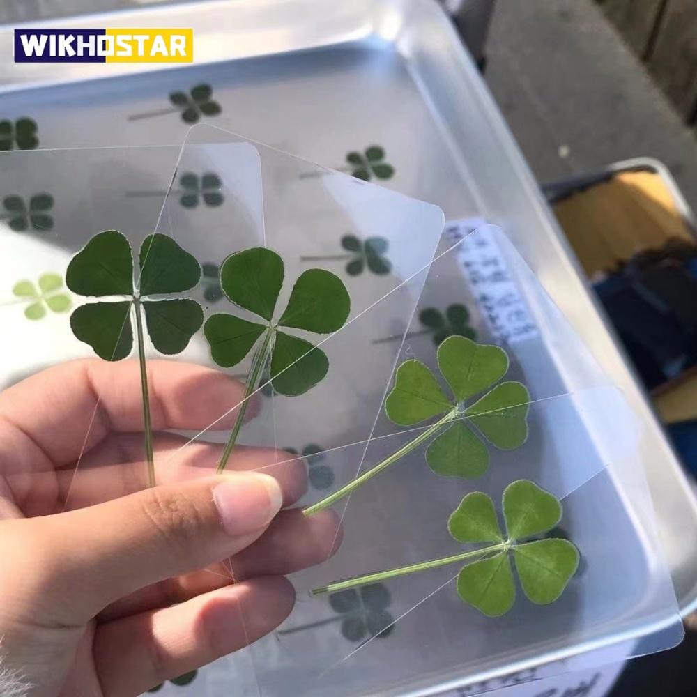 5Pcs Lucky Clover Postcards - Natural Grass Transparent Wishing Cards for Bookmarks & Decorations