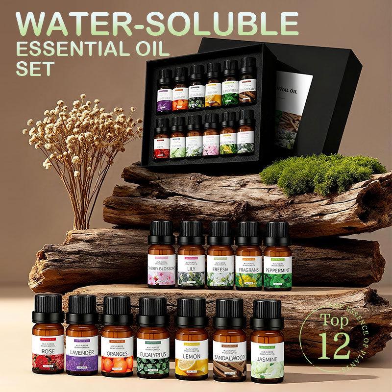 12-Piece Water-Soluble Aromatherapy Essential Oil Set, 10ml Each Domestic Brand