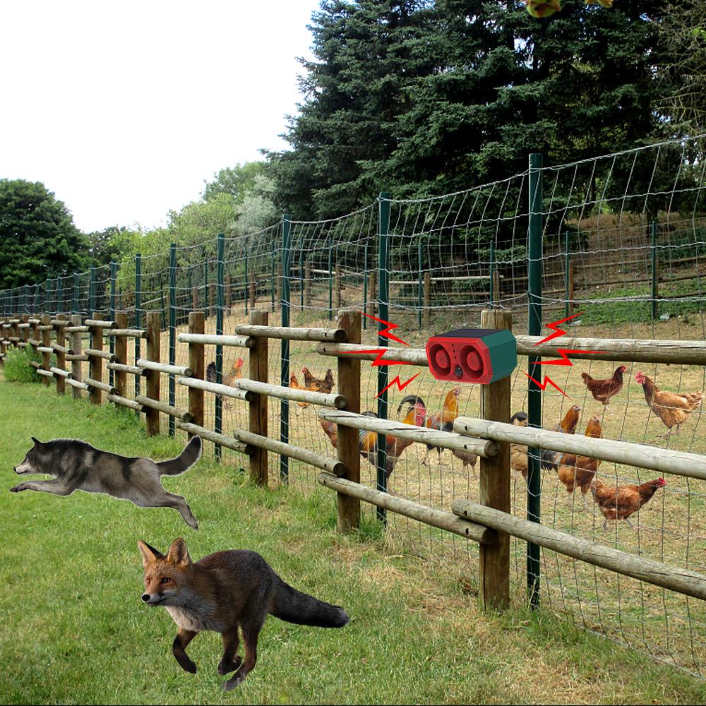 Solarbetriebener Wildtieralarm & Licht zum Schutz von Bauernhöfen