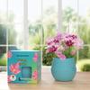 Kids' Chili Planting Pot - Primary School Gardening Kit