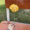Buquê de Flores de Lã Tricotado à Mão: Ornamento de Rosa, Lírio, Girassol Presente