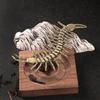 Antique Replica Chinese Centipede Brass Sculpture: Solid Copper Hundred-Legged Worm Tea Pet Handicraft