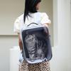 Transparent Outdoor Backpack Portable Cat Carriers Bag Breathable Pet Cats Dogs Birds Bag for Airline Approved Transport