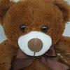 TreasuringU Cute Bear Plush Toys Cartoon Brown Animals Fluffy Dolls Kawaii Bear Stuffed Toy Funny Plushie Birthday Gifts