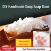 Mediviz Pure Natural DIY Soap Base