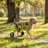 Breathable Dog Wheelchair Adjustable Pet Rehabilitation Walking Aids  Injury Recovery