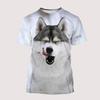 Funny Dogs Husky Malamute 3D Print T-Shirts Streetwear Boys Girls Casual Fashion O-Neck Oversized T Shirt Kids Tees Tops Clothes