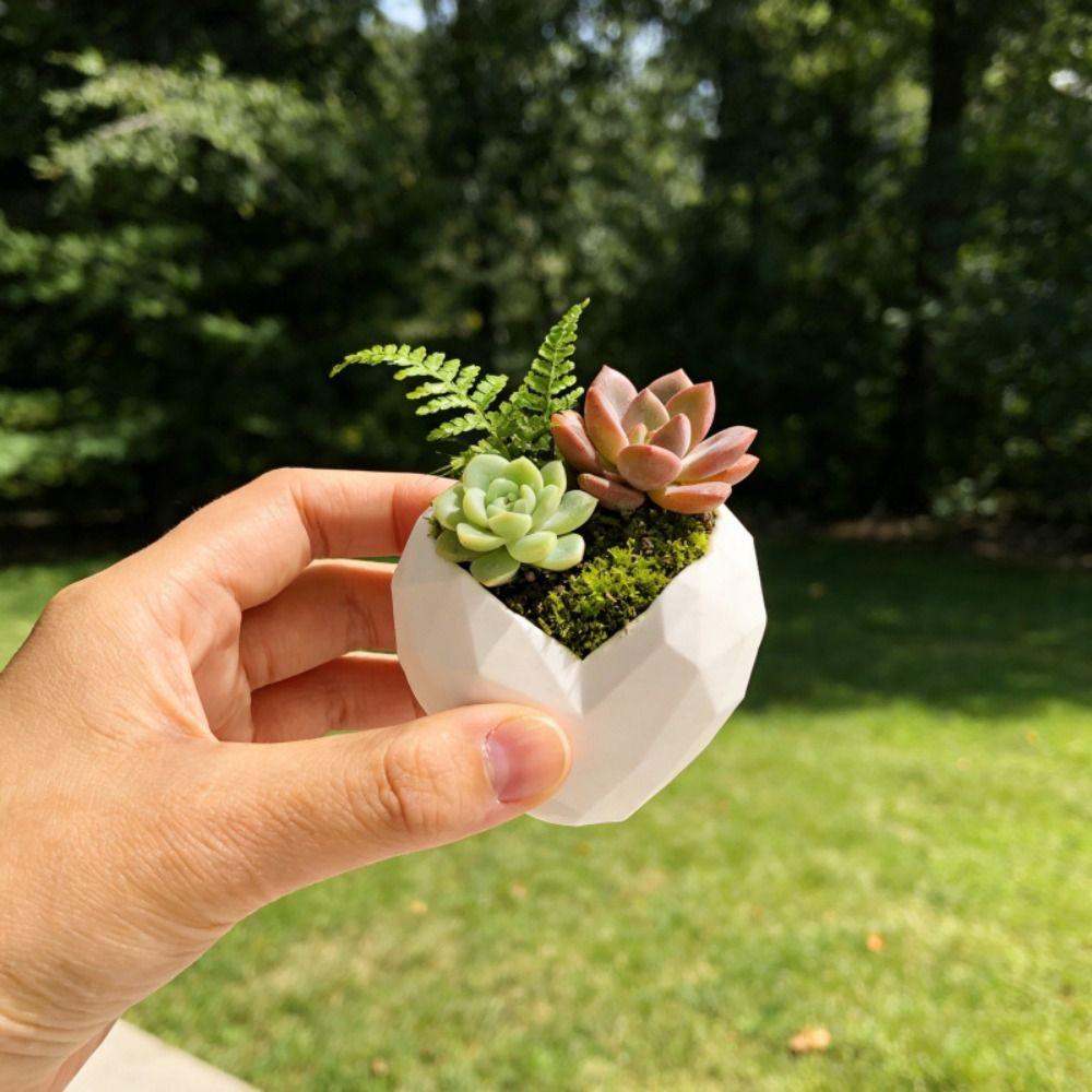 Small Capacity Love Flower Pot Gardening Supplies Plant Container  Indoor Decor