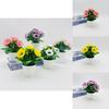 Peony Artificial Flower Mini Potted Plant For Photography Home Decor And Wedding Events