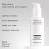 Kimirica Plant-based AHA Brightening Face Wash | Non-drying Cleanser for Gentle Exfoliation, Promotes Smooth, and Hydrated Skin | Dermatologically
