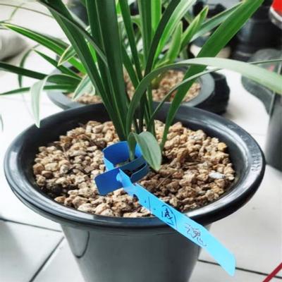 100PCS opakovaně použitelné vodotěsné PVC zahradní značky pro zahradu