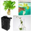 4Pcs Hanging Aquarium Plant Holder Aquatic Plant Planter with Multiple Drainage Holes for Better Root Growth Fish Tank