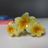1Pcs Frangipani Flower Shaped Hair Clip Colorful Shark Clip Hairpin Headwear Vintage Headdress Hair Accessories For Women