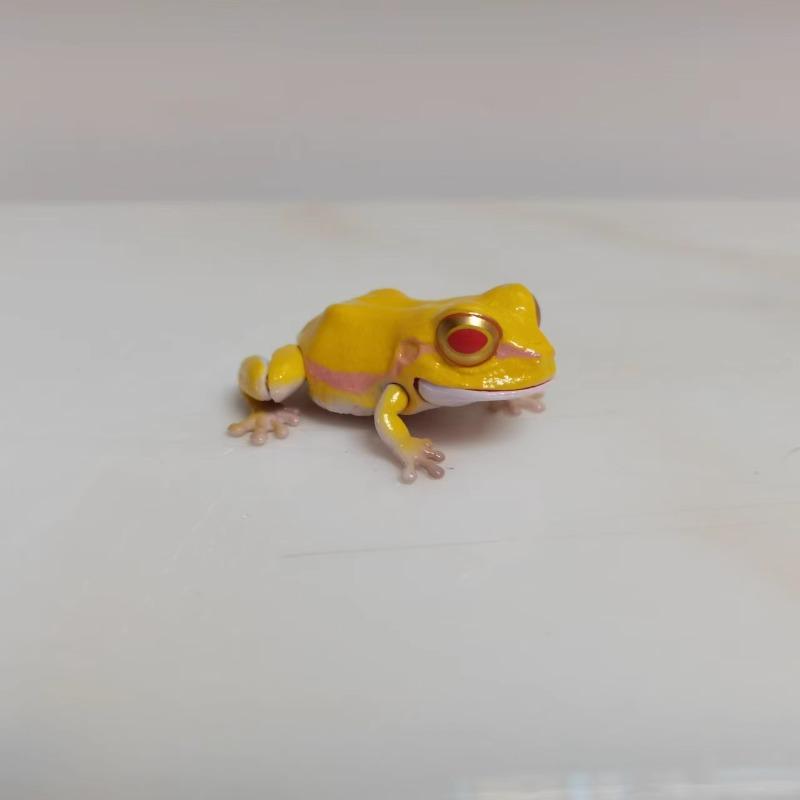 Biologische Enzyklopädie Gashapon Spielzeug Japanischer Laubfrosch Nordost-Regenfrosch Simulierte Bewegliche Tierfiguren Ornamente Spielzeug