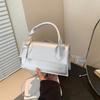 Elegant Minimalist Square Bag 2024 Latest Summer Trend Spacious Shoulder Handbag
