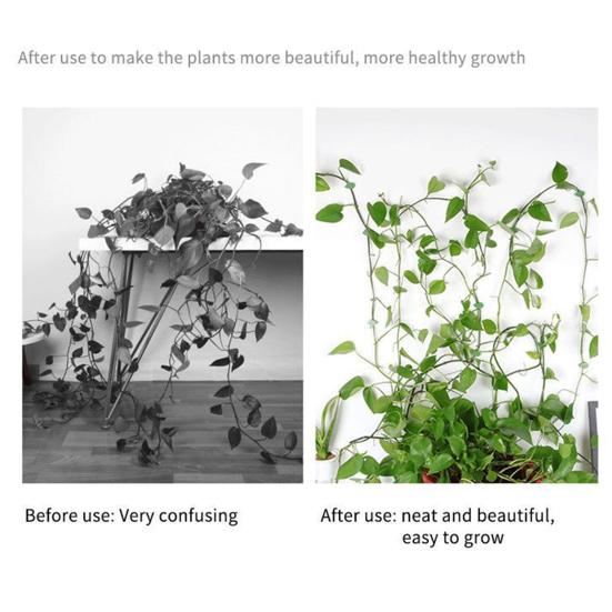 10Pcs Plant Vine Clips Green Leaf Shape Clips with Adhesive Wall Vine Clips for Climbing Plants Pothos Ivy Monstera Philodendron