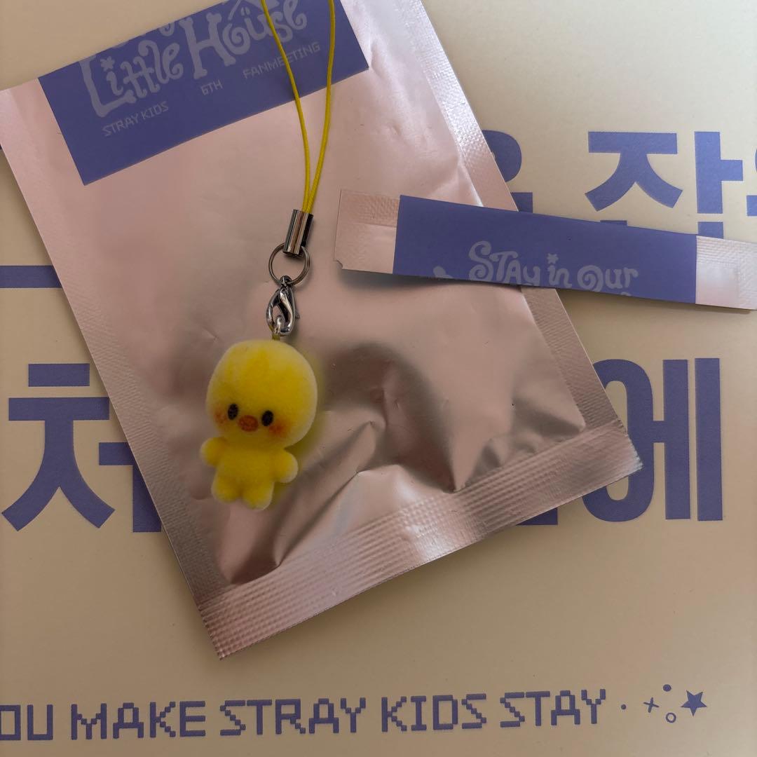 [USED] Stray Kids 6th Korean Fan Meeting Secret Mini Charm Felix Pogari