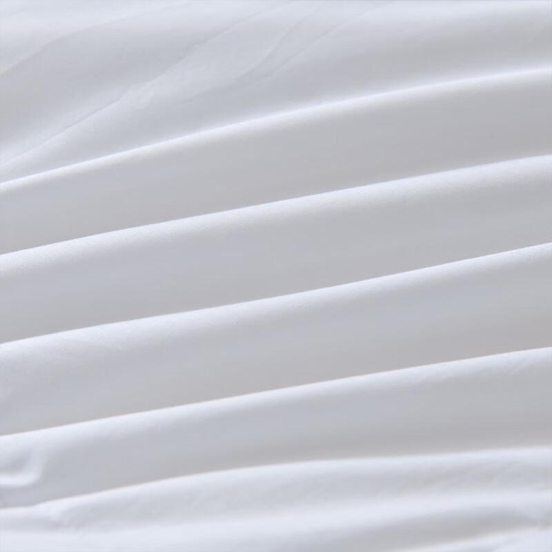 Fang'en FN-B6101 White Goose Down Comforter