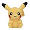 [New] Pokemon Center Plush Toy Pokemon Fit Pikachu