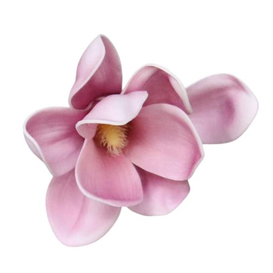 Women Hair Claw Anti-slip Head Hair Teeth Back Clip фиолетовый