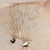 Super Fee Schmetterling Quaste Ohrringe Temperament Neu Nischendesign Neue Ohrringe