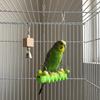 Durable Parrot Perch Stand Bite Resistant Parrot Swing Toy Birdcage Hanging Swing  Training Toy