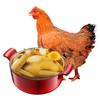 Găină congelată Wenshi, de la țară, 120 de zile, pui cu unt