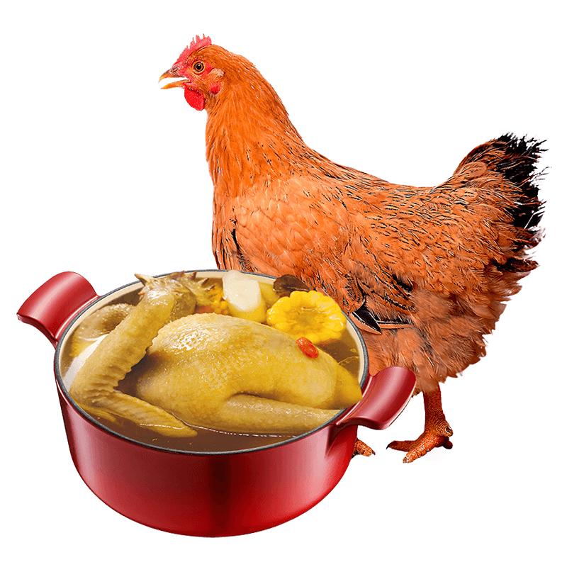 Wenshi 120-Day Free-Range Frozen Butter Chicken Hen