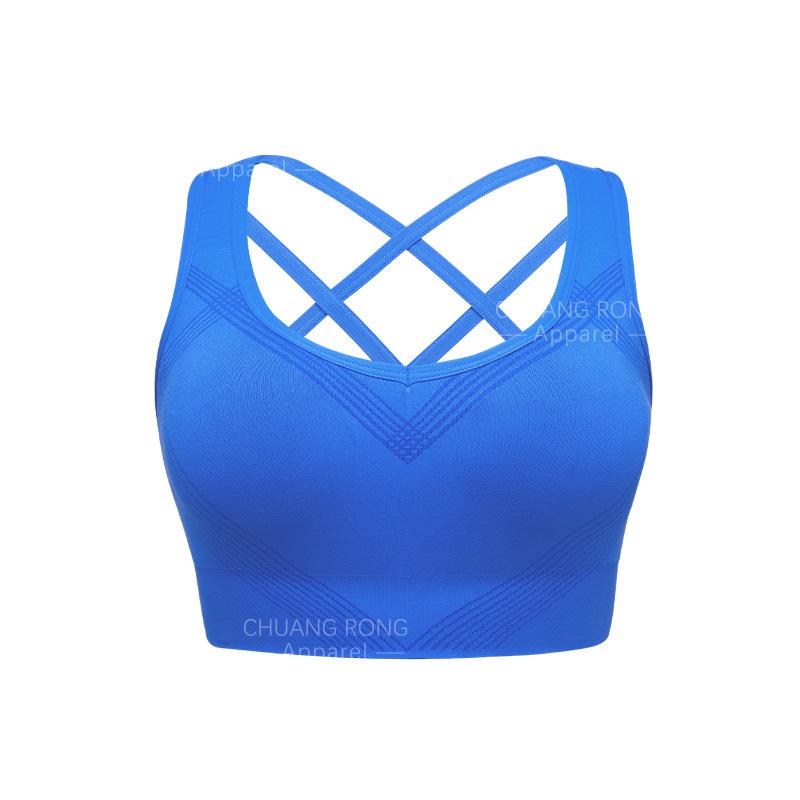 European and American custom sports bras women's high-intensity fitness running shock-proof cross back steel-free underwear manufacturers