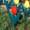 Decorative Tulips Flower Design Fence PVC Garden Fence for Interlocking of Yard and Pathway Borders Gardening Supply