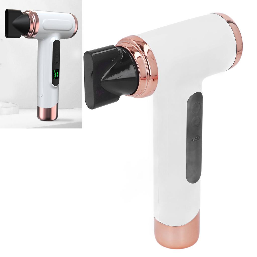 Hair Blow Dryer Wet and Dry Use 200W Powerful Hair Dryer Portable Multifunctional Pet Blow Dryer for Travel