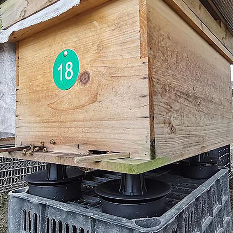 4 Adet Arı Kovanı Tünek Arı Kovanı Standları Çerçeve Ev Dayanıklı Kendin Yap Arıcılık Aletleri