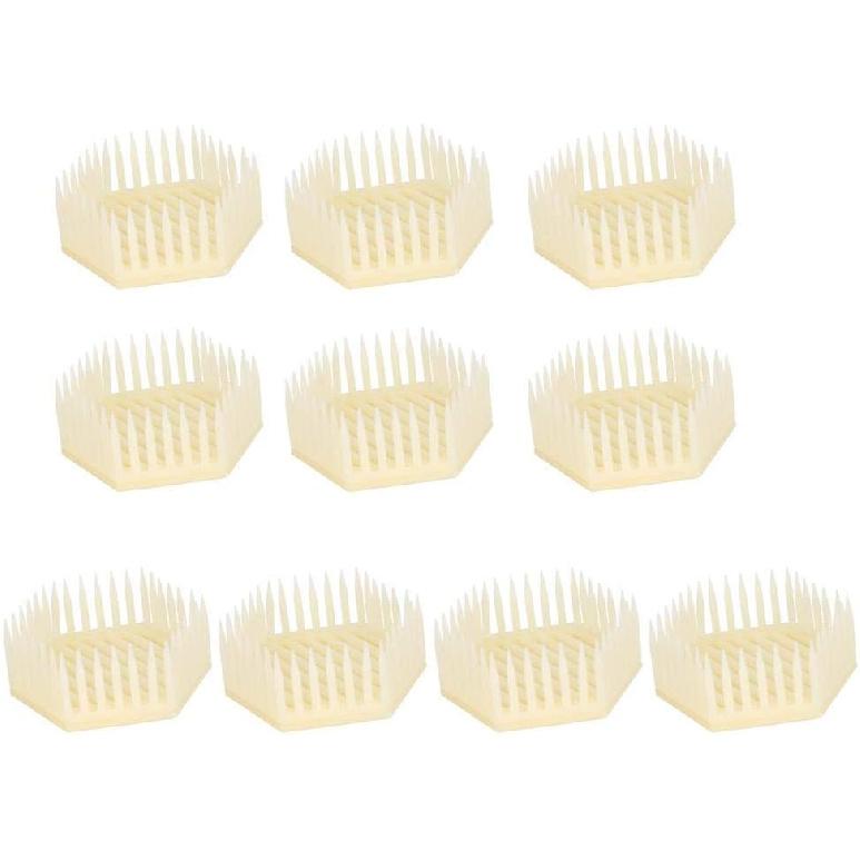 TOPINCN Beekeeping Rearing Box Queen Bee Cage 10Pcs Bee Keeping Hexagonal Shape Beekeeper Tool