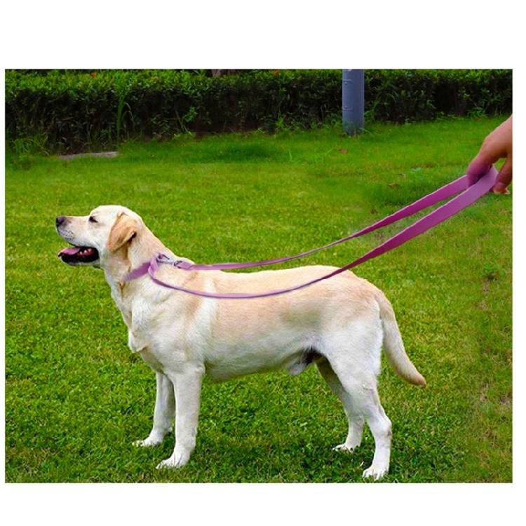 Dogs Leash Belt Large Breeds Long Leash Outdoor Walking Leash Tractions Rope