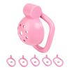 Male Penis Chastity Cage Set Small Bird Chastity Cage Belt With 5 Size Padlock Cock Ring Penis Lock Bondage Man Sex Toy