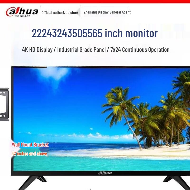 Dahua Industrial-Grade LCD Surveillance Monitor CN plug (adapter included)