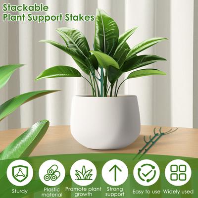 20Pcs Plants Support Stakes Reusable Bonsai Orchid Rod Fixing Holder Flower Climbing Plant Garden Greenhouses Tool