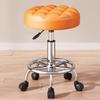 Modern Minimalist Beauty Stool, Adjustable Mobile Hairdressing Chair, Comfortable Cushioned Backrest Seat, Salon Barber Stool