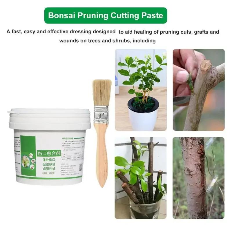 Tree Wounds Bonsai Plants Application Grafting Pruning Sealing Agents Tree Repair Tools