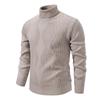 Mens Thick Knit Turtleneck Sweater Winter Warm Casual Base Layer Adults