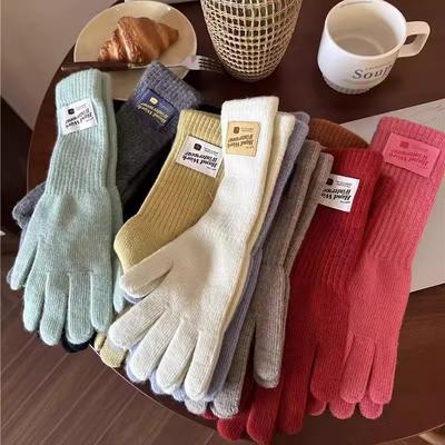 Solid Color Color Labeled Finger Gloves Female Cute Simple Knitted Thickened Warm Gloves