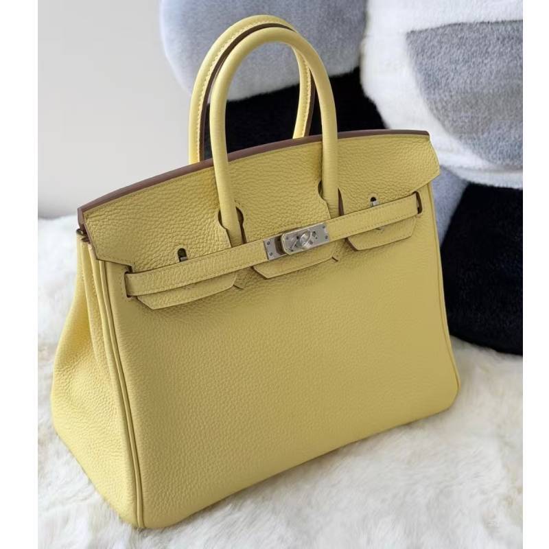 Leather Handbag With Silver Lock For Elegant Women Day Use