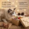 6pcs Wool Felt Cotton Swab Cat Teaser Toy Double End Bite Stick For Indoor Cats Interactive Chew Play Soft Touch Toy For Kittens