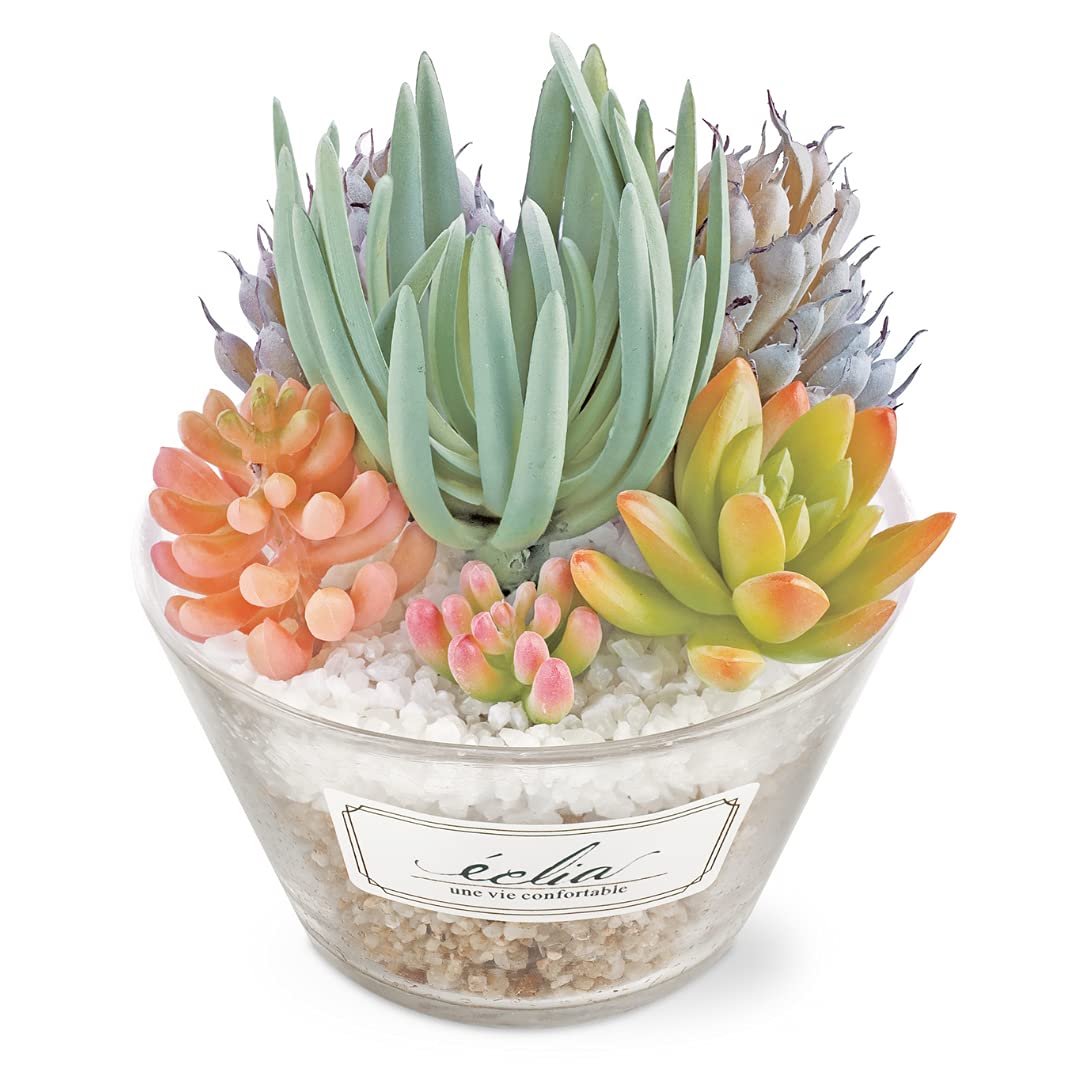 

Kishima Eclear Дезодорирующий Искусственный Зеленый Размер 6 л Ш140 Г125 В155 KH-61185 Размер Прибл.