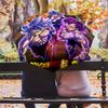 1 PC Automatic Folding Umbrella - Dragon Ball Pattern Portable Foldable Design With 8 Ribs Christmas Birthday Gifts